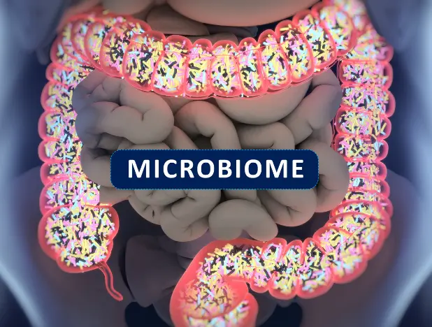 image of the digestive system with the large intestine highlighted and the word microbiome